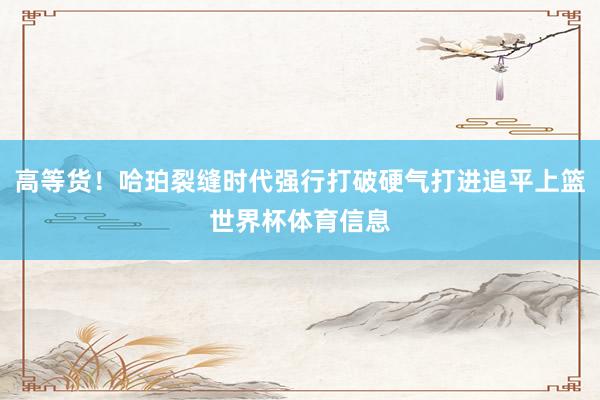 高等货！哈珀裂缝时代强行打破硬气打进追平上篮世界杯体育信息
