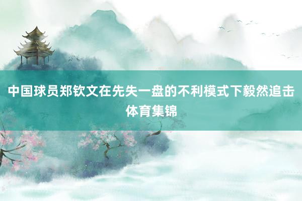 中国球员郑钦文在先失一盘的不利模式下毅然追击体育集锦