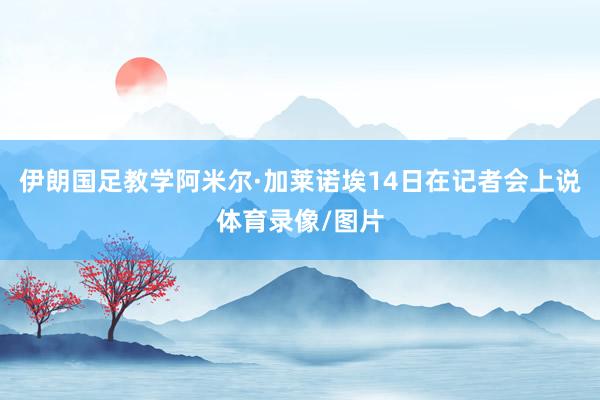 伊朗国足教学阿米尔·加莱诺埃14日在记者会上说体育录像/图片